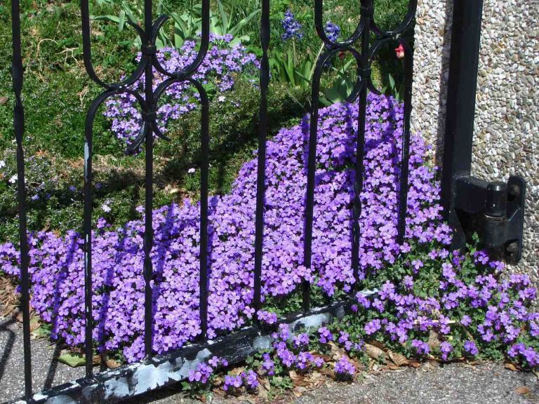 Gartentor aus Polen mit integrierter Tür GartentoreausPolen.de